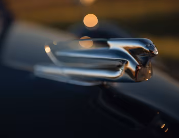 Mascota 1939 Cadillac Fleetwood Seventy-Five Convertible Coupe (39-7567)