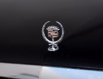 Mascota 1999 Superior State Limousine