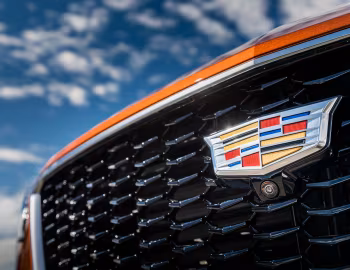 Logotipo 2019–23 Cadillac XT4 Sport [North America] '2018–23