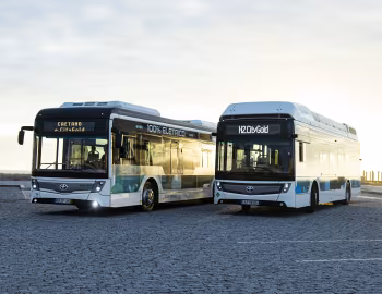 Caetano H2.City Gold, Caetano e.City Gold