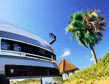 Cal's Motor Carica EURO Style (H200) '2023–pr.