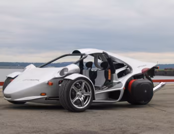 Campagna T-Rex '1996–pr.