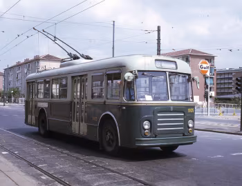 Fiat 2401 Cansa [Italy] '1953–58