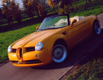 Cardi Body II '2003