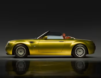 Cardi Body II '2003