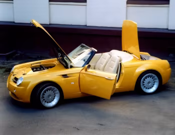 Cardi Body II '2003