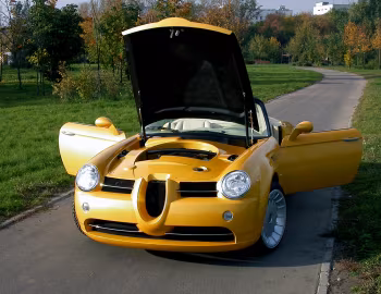 Cardi Body II '2003