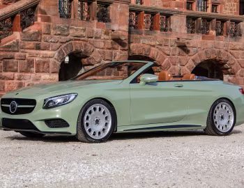 Carlsson Diospyros (A217) '2016–17