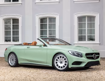 Carlsson Diospyros (A217) '2016–17