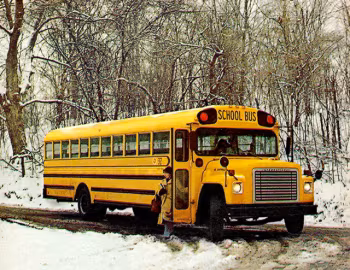 1979 International Harvester Schoolmaster 1703 Carpenter School Bus