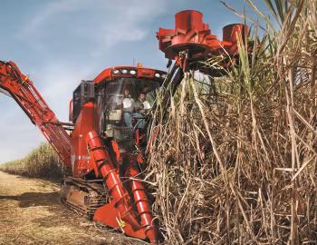 Case IH Austoft A8800 '2009–pr.