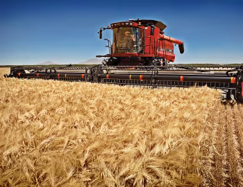 2012 Case IH Axial-Flow 8230 '2011–12