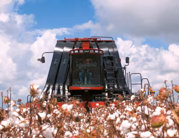 Case IH Cotton Express 620 '2013–pr.