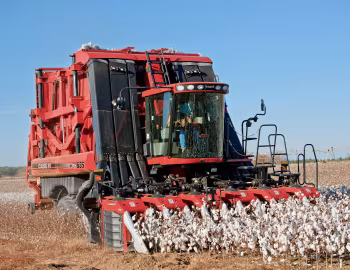 Case IH Module Express 635 '2011–pr.