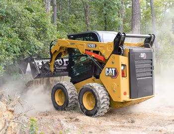 Cat 242D3 [Worldwide] '08.2019–pr.