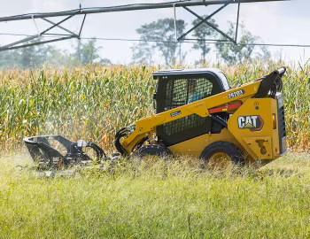 Cat 262D3 [Worldwide] '08.2019–pr.