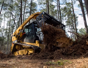 Cat 299D2 '2015–19