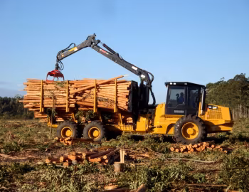 Caterpillar 584 6WD '2008–????