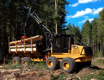 Caterpillar 584 8WD '2008–????