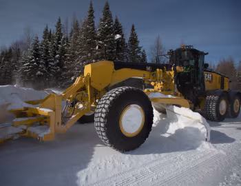 Cat 14 '2019–pr.