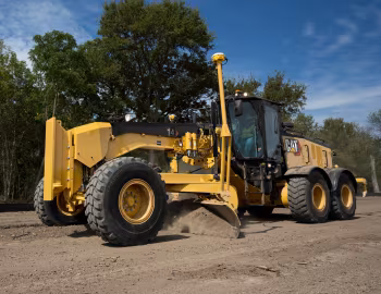 Cat 14 '2019–pr.