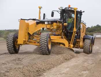 Cat 14 '2019–pr.