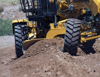 Cat 18 '2020–н.ч.
