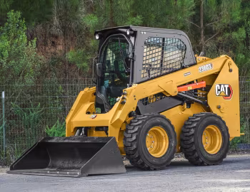 Cat 236D3 [Worldwide] '08.2019–pr.