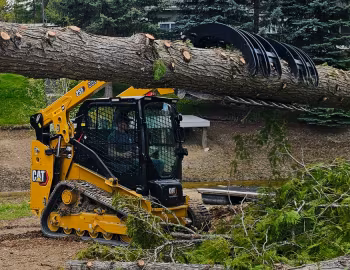 Cat 255 '2023–pr.