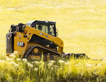 Cat 255 '2023–pr.