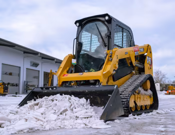Cat 239D3 [Worldwide] '08.2019–pr.