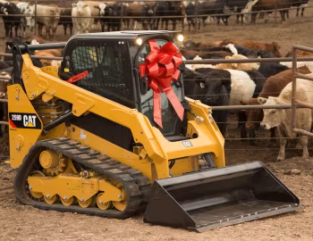 Cat 259D '2013–19