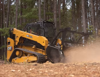 Cat 265 '2023–pr.