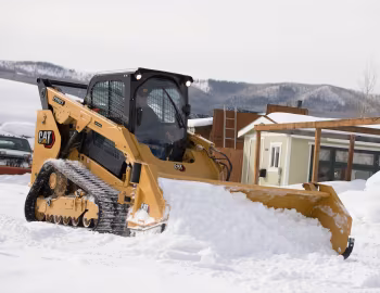 Cat 289D3 [Worldwide] '08.2019–23