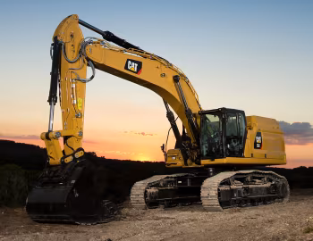 Cat 352 '2019–20