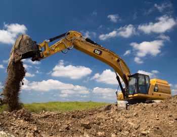 Cat 352 '2019–20