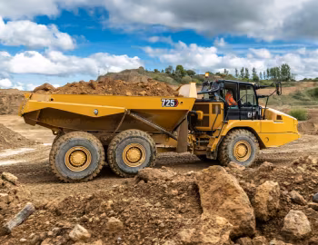 Cat 725 '03.2020–25