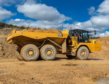 Cat 725 '03.2020–25