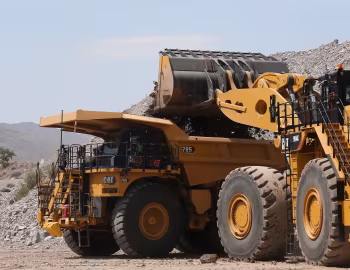 Cat 785 [Worldwide] '2021–н.ч.