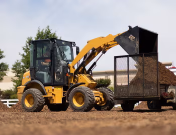 Cat 903 '2023–н.ч.