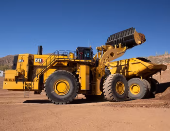 Cat 995 '2023–pr.