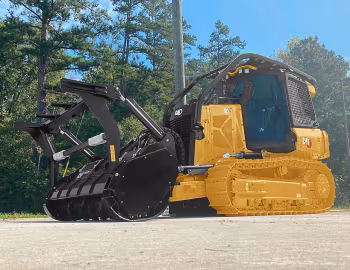 Cat D1 '2020–pr.