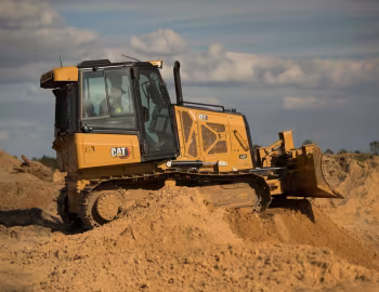 Cat D1 '2020–pr.