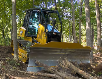 Cat D4 LGP [Worldwide] '07.2021–pr.