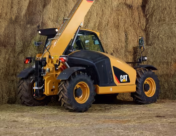 Cat TH306D [Worldwide] '2016–19