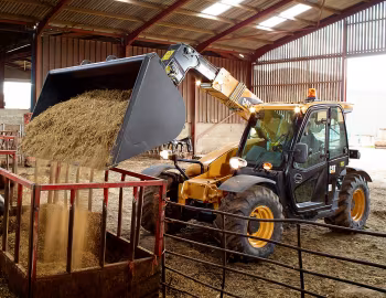 Cat TH306D [Worldwide] '2016–19