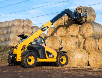 Cat TH306D [Worldwide] '2016–19