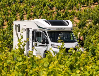 2020–pr. Chausson 630 Premium '2019–pr.