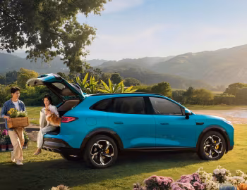 Chery Fulwin T9L '2026