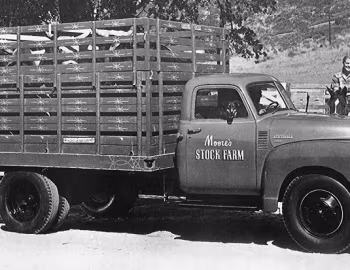 1948 Chevrolet 6400 (RW-6403)